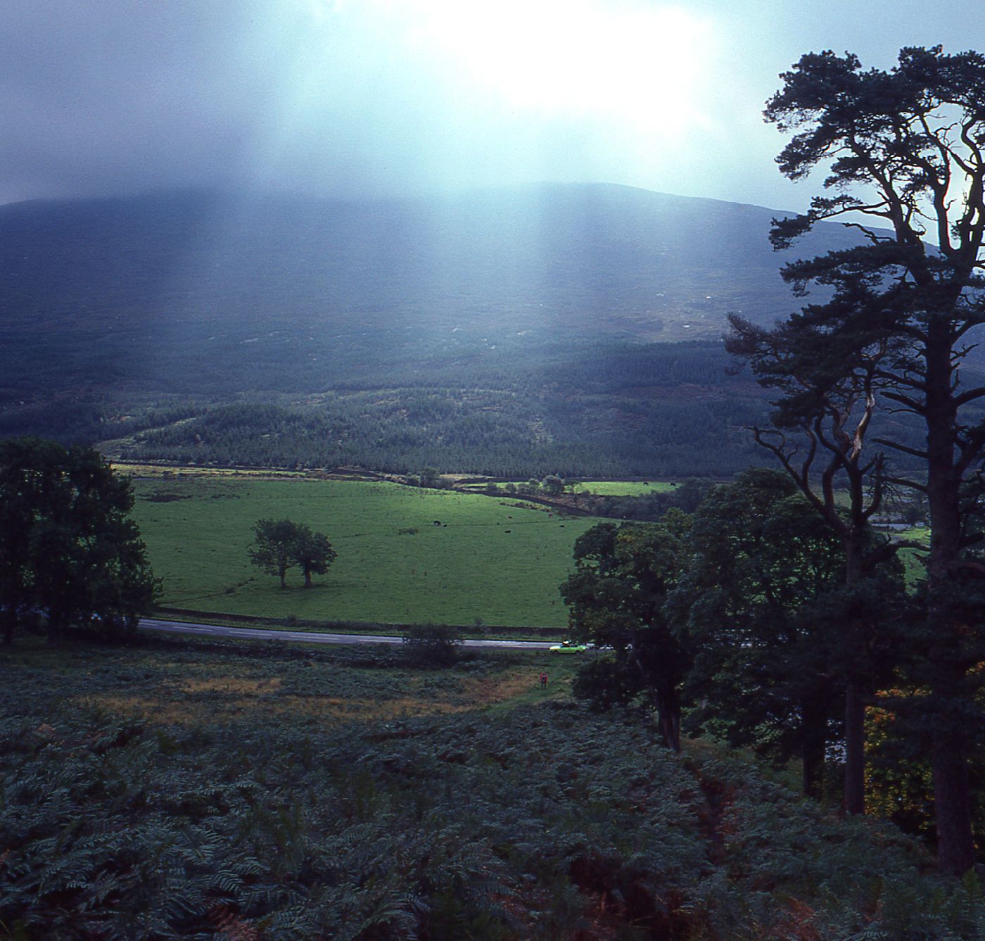 Intro to Print choices