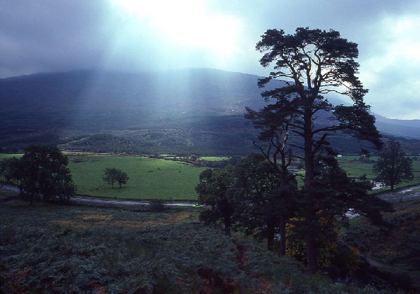 Thumb - photos - Scotland