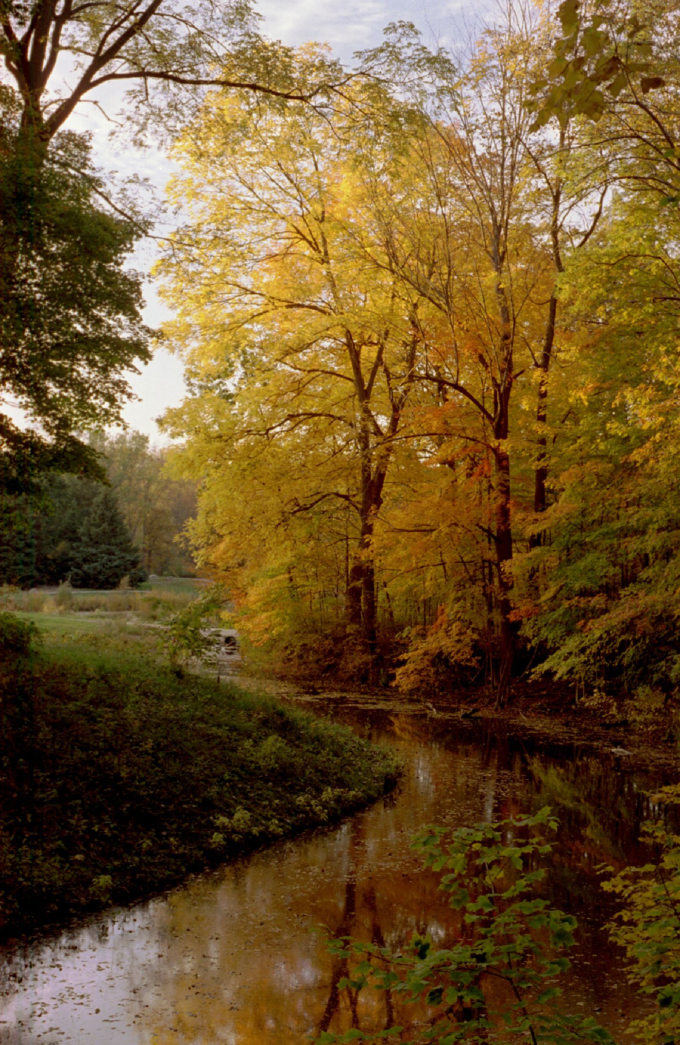 Stuffy purist content